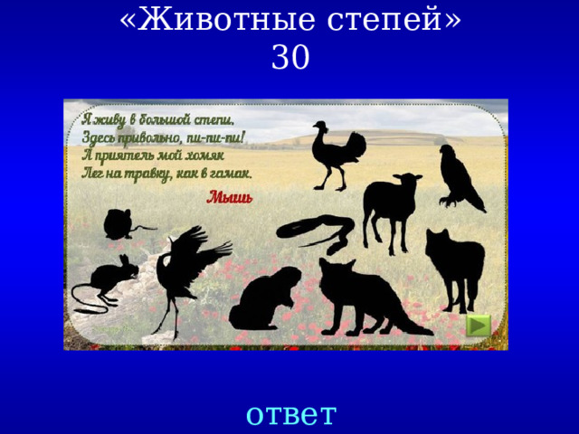«Животные степей»  30 ответ