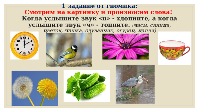 1 задание от гномика:  Смотрим на картинку и произносим слова!  Когда услышите звук «ц» - хлопните, а когда услышите звук «ч» - топните. ( ч асы, сини ц а, ц веток, ч ашка, одуван ч ик, огуре ц , ц апля)