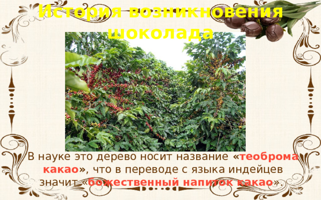 История возникновения шоколада В науке это дерево носит название « теоброма какао » , что в переводе с языка индейцев значит « божественный напиток какао ».