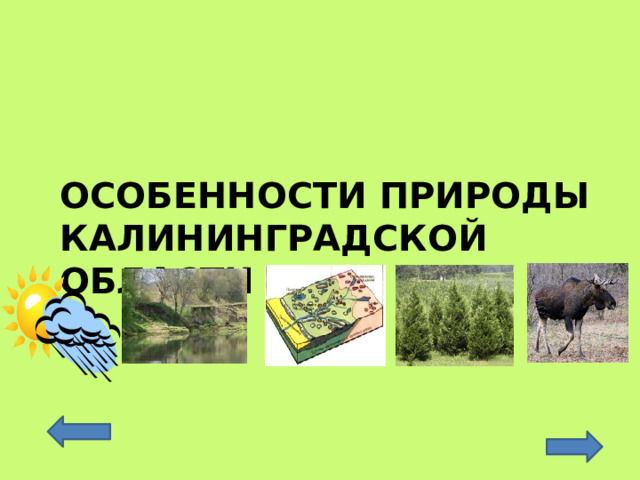 Особенности природы Калининградской области