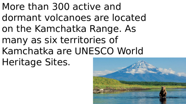More than 300 active and dormant volcanoes are located on the Kamchatka Range. As many as six territories of Kamchatka are UNESCO World Heritage Sites.