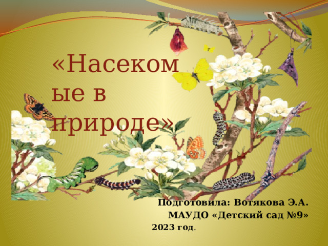 «Насекомые в природе»    Подготовила: Вотякова Э.А. МАУДО «Детский сад №9» 2023 год .