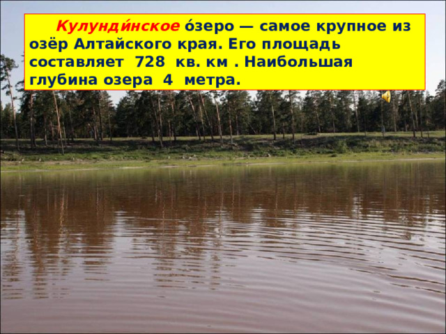Кулунди́нское о́зеро — самое крупное из озёр Алтайского края. Его площадь составляет 728 кв. км . Наибольшая глубина озера 4 метра.