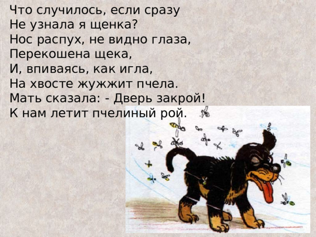 Что случилось, если сразу  Не узнала я щенка?  Нос распух, не видно глаза,  Перекошена щека,  И, впиваясь, как игла,  На хвосте жужжит пчела.  Мать сказала: - Дверь закрой!  К нам летит пчелиный рой.