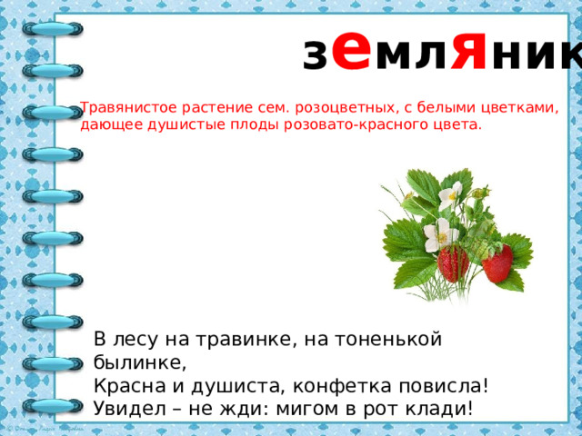 з е мл я ника Травянистое растение сем. розоцветных, с белыми цветками, дающее душистые плоды розовато-красного цвета. В лесу на травинке, на тоненькой былинке, Красна и душиста, конфетка повисла! Увидел – не жди: мигом в рот клади!