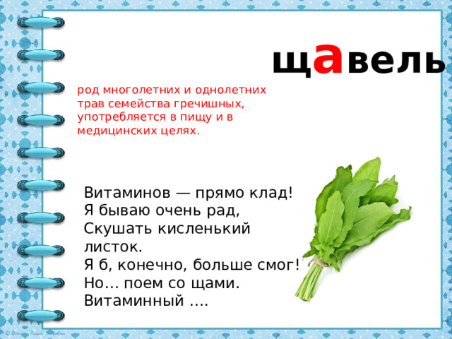 щ а вель род многолетних и однолетних трав семейства гречишных, употребляется в пищу и в медицинских целях. Витаминов — прямо клад! Я бываю очень рад, Скушать кисленький листок. Я б, конечно, больше смог! Но… поем со щами.  Витаминный ….