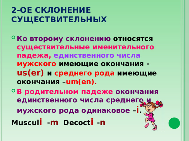 2-ОЕ СКЛОНЕНИЕ СУЩЕСТВИТЕЛЬНЫХ Ко второму склонению относятся существительные именительного падежа, единственного числа мужского  имеющие окончания - us(er)  и среднего рода имеющие окончания – um(en) . В родительном падеже окончания единственного числа среднего и мужского рода одинаковое – i . Muscul i - m Decoct i - n