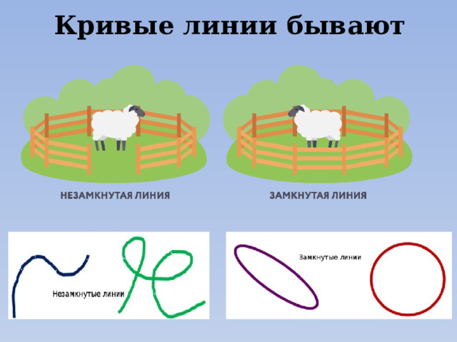 Кривые линии бывают