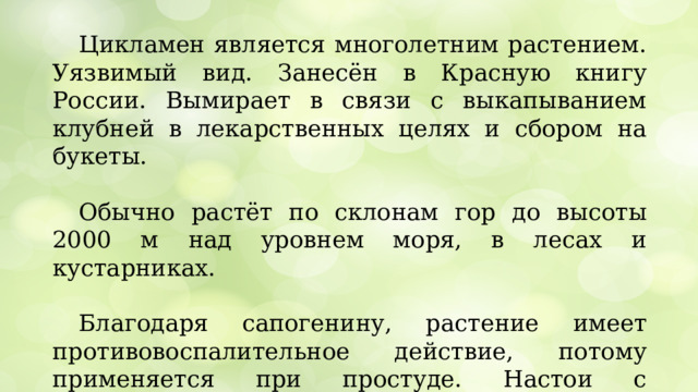 Цикламен является многолетним растением. Уязвимый вид. Занесён в Красную книгу России. Вымирает в связи с выкапыванием клубней в лекарственных целях и сбором на букеты. Обычно растёт по склонам гор до высоты 2000 м над уровнем моря, в лесах и кустарниках. Благодаря сапогенину, растение имеет противовоспалительное действие, потому применяется при простуде. Настои с цикламеном считаются полезными и при ревматизме, подагре, головной боли и при желтухе.