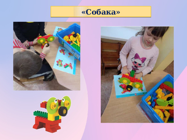 «Собака»