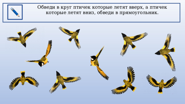 Обведи в круг птичек которые летят вверх, а птичек которые летят вниз, обведи в прямоугольник.