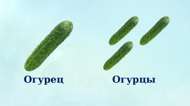 Огурец Огурцы