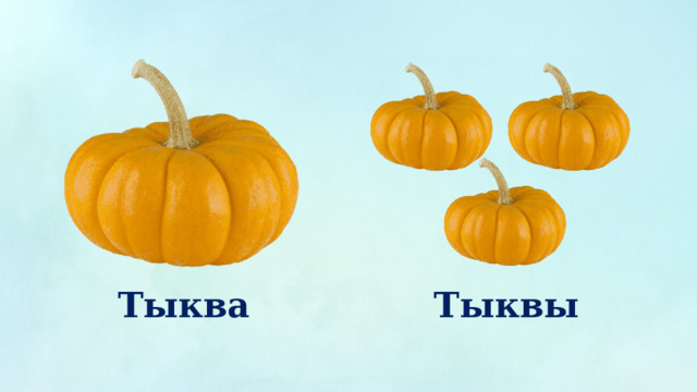 Тыква Тыквы