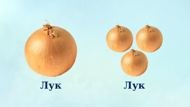 Лук Лук