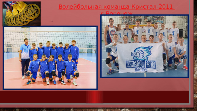 Волейбольная команда Кристал-2011 г.Воронеж  