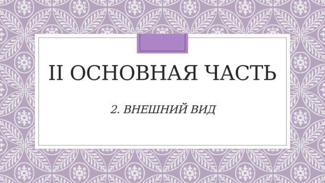 II Основная часть   2. внешний вид