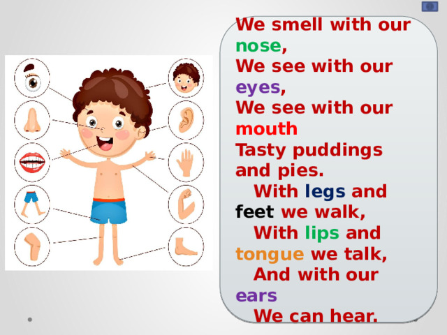 We smell with our nose , We see with our eyes , We see with our mouth Tasty puddings and pies.     With legs and feet we walk,     With lips and tongue we talk,     And with our ears     We can hear.