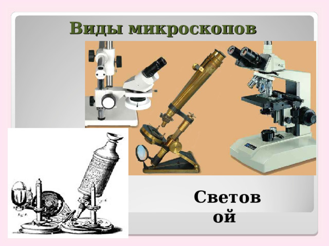 Виды микроскопов Световой
