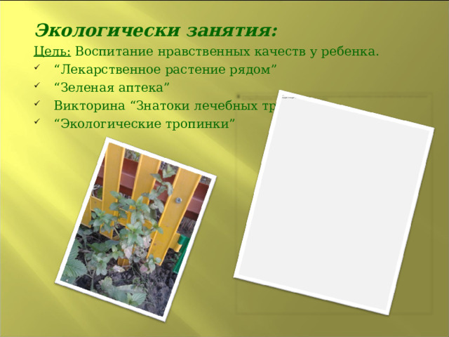 Экологически занятия: Цель:  Воспитание нравственных качеств у ребенка.