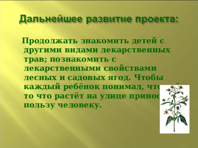 Продолжать знакомить детей с другими видами лекарственных трав; познакомить с лекарственными свойствами лесных и садовых ягод. Чтобы каждый ребёнок понимал, что всё то что растёт на улице приносит пользу человеку.