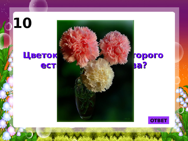 10 Цветок, в названии которого есть кусочек железа?  ОТВЕТ