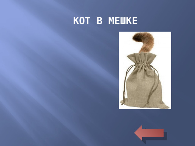 КОТ В МЕШКЕ