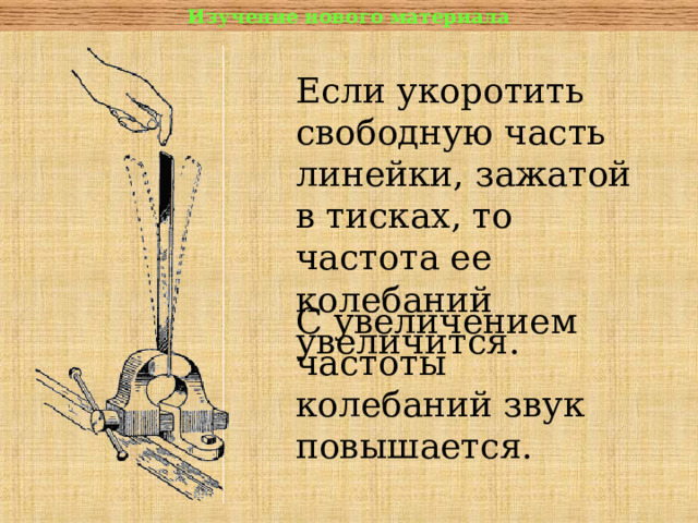 Изучение нового материала Если укоротить свободную часть линейки, зажатой в тисках, то частота ее колебаний увеличится. С увеличением частоты колебаний звук повышается.