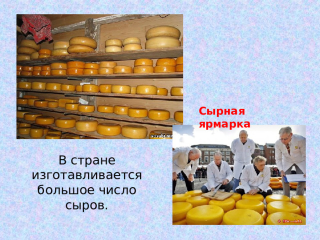 Сырная ярмарка В стране изготавливается большое число сыров.
