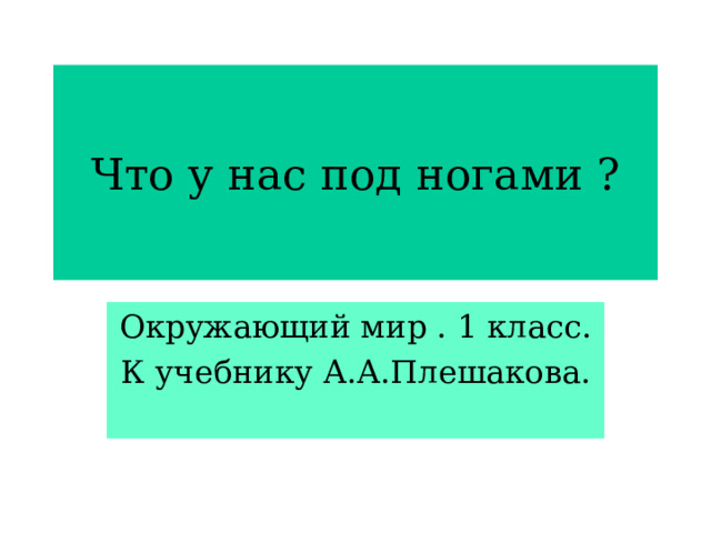 Что у нас под ногами ? Окружающий мир . 1 класс. К учебнику А.А.Плешакова.