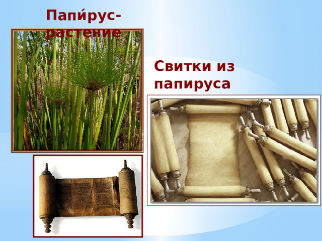 Папи́рус-растение Свитки из папируса