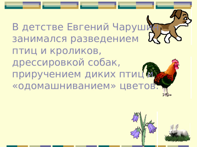 В детстве Евгений Чарушин занимался разведением птиц и кроликов, дрессировкой собак, приручением диких птиц и «одомашниванием» цветов.
