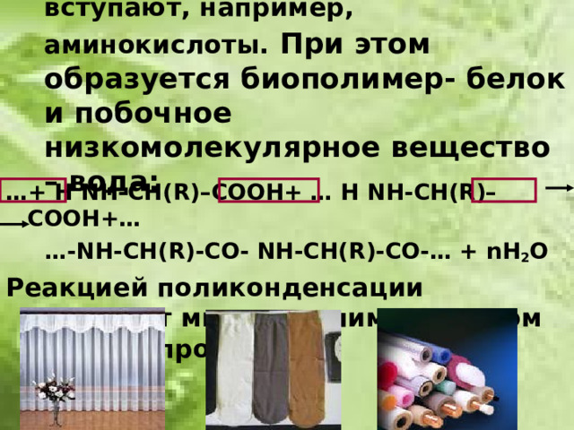 В реакцию поликонденсации вступают, например, аминокислоты.  При этом образуется биополимер- белок и побочное низкомолекулярное вещество – вода: … + Н N Н-СН (R )–СООН+ … Н N Н-СН (R )–СООН+… … - N Н-СН( R) -СО- N Н-СН( R) -СО-… + n Н 2 О Реакцией поликонденсации получают многие полимеры, в том числе капрон.