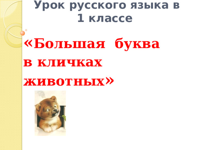 Урок русского языка в 1 классе « Большая буква в кличках животных »
