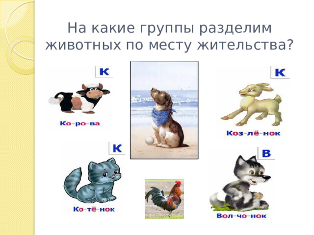 Клички животных русский язык. На какие группы разделяют животных. Клички животных. Клички животных из сказок. На какие группы можно поделить животных.