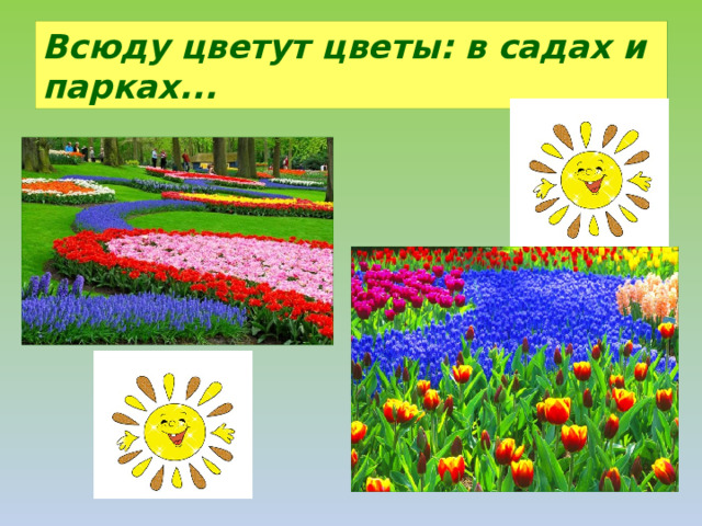 Всюду цветут цветы: в садах и парках...