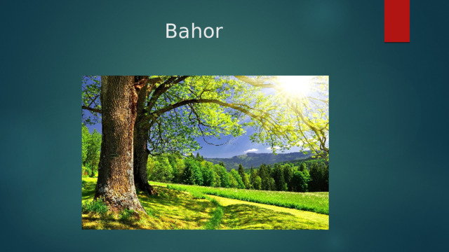 Bahor