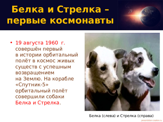 Белка и Стрелка – первые космонавты 19 августа 1960 г. совершён первый в истории орбитальный полёт в космос живых существ с успешным возвращением на Землю. На корабле  «Спутник-5» орбитальный полёт совершили собаки Белка и Стрелка . Белка (слева) и Стрелка (справа)
