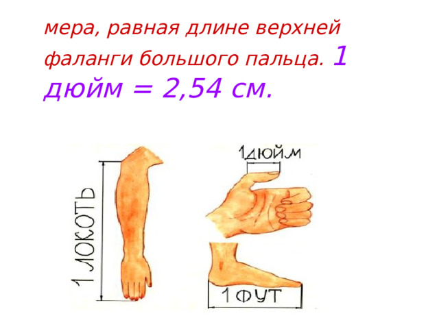 мера, равная длине верхней фаланги большого пальца. 1 дюйм = 2,54 см.