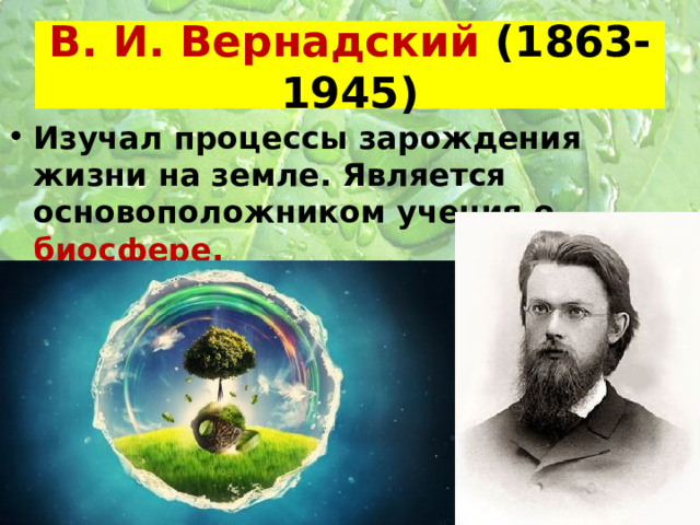 В. И. Вернадский (1863-1945) Изучал процессы зарождения жизни на земле. Является основоположником учения о биосфере.