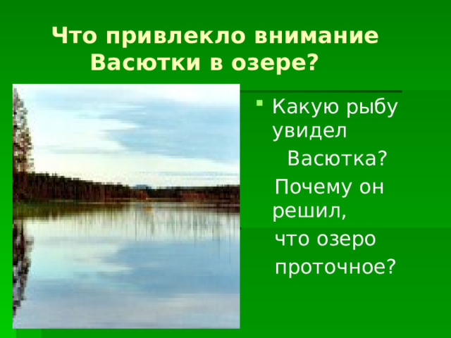 Что привлекло внимание  Васютки в озере? Какую рыбу увидел  Васютка?  Почему он решил,  что озеро  проточное?