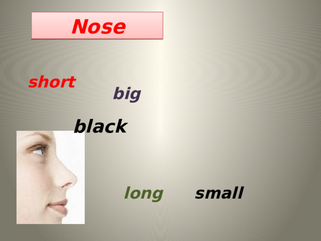 Nose short big black long small