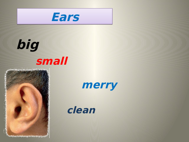 Ears big small merry clean
