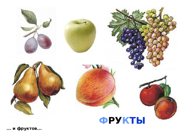 Ф РУ К ТЫ ... и фруктов...