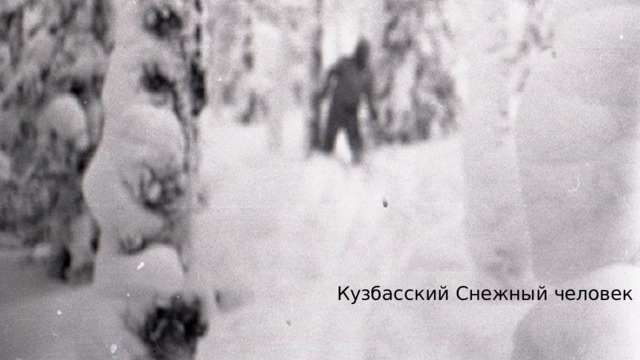 Кузбасский Снежный человек