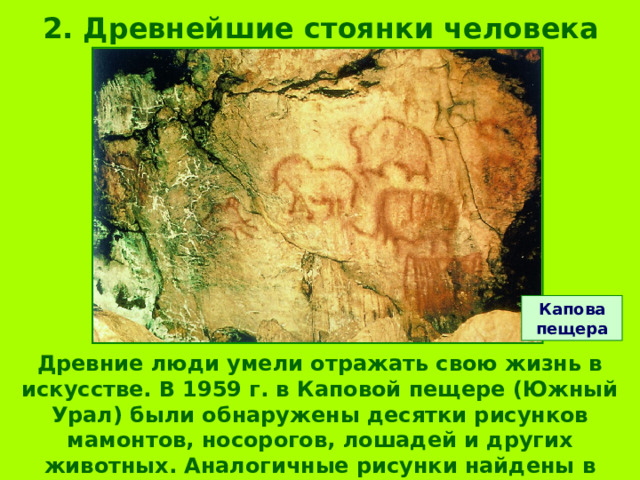 2. Древнейшие стоянки человека Капова пещера Древние люди умели отражать свою жизнь в искусстве. В 1959 г. в Каповой пещере (Южный Урал) были обнаружены десятки рисунков мамонтов, носорогов, лошадей и других животных. Аналогичные рисунки найдены в Испании и Франции.