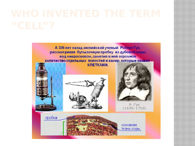 Who invented the term “cell”?