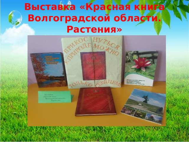 Выставка «Красная книга Волгоградской области. Растения»