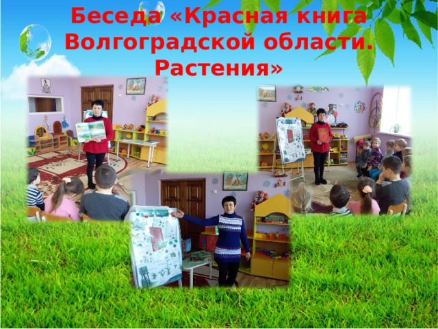 Беседа «Красная книга Волгоградской области. Растения»