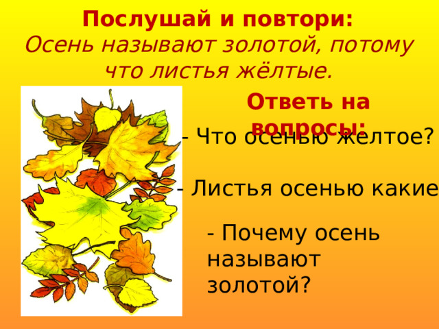 Послушай и повтори: Осень называют золотой, потому что листья жёлтые. Ответь на вопросы: - Что осенью желтое? - Листья осенью какие? - Почему осень называют золотой?