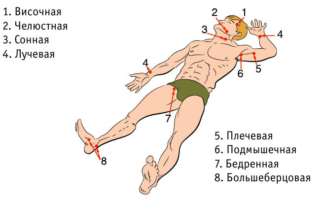 Картинки пальцевое прижатие артерии